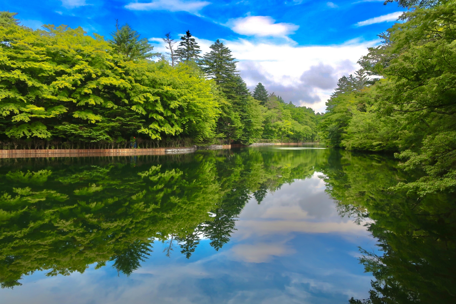 湖の画像